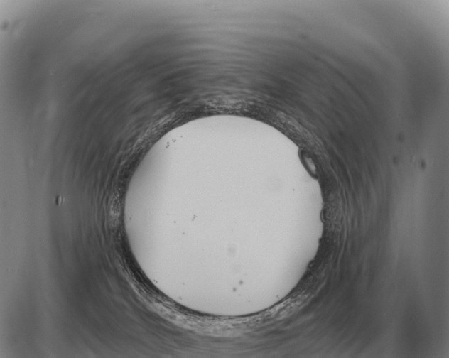 X0000086300040200704271838