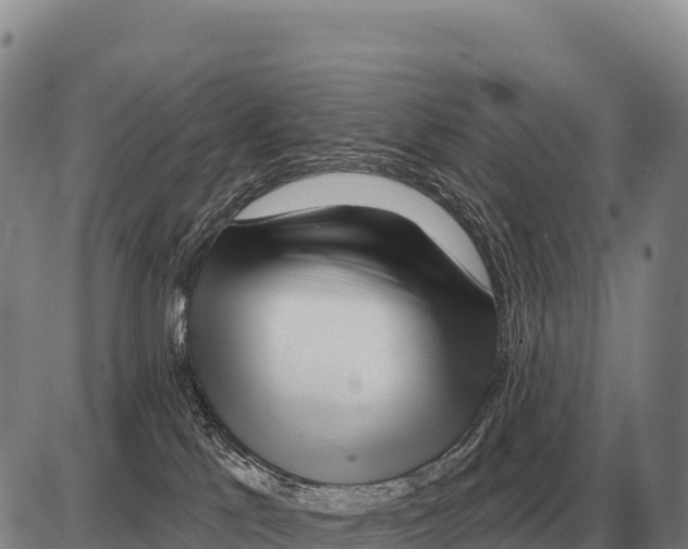 X0000086300041200704271838