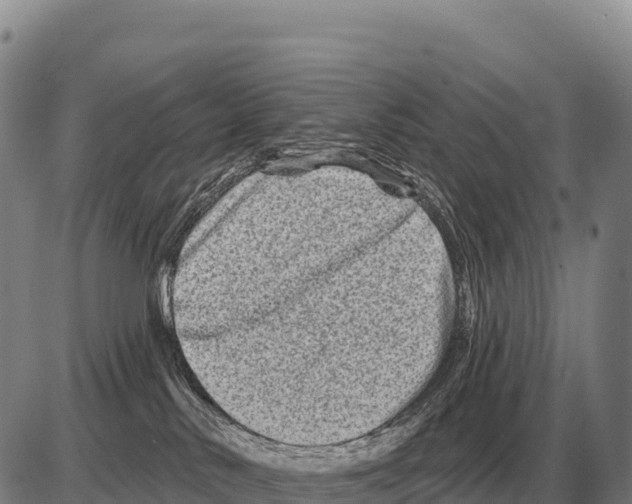 X0000086300042200704271838