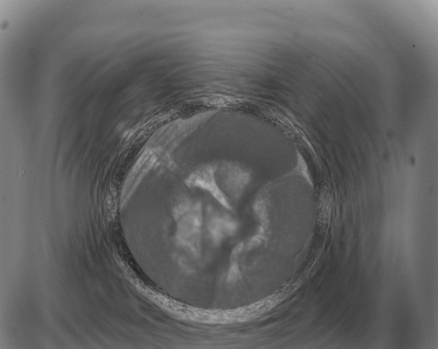 X0000086300043200704271838