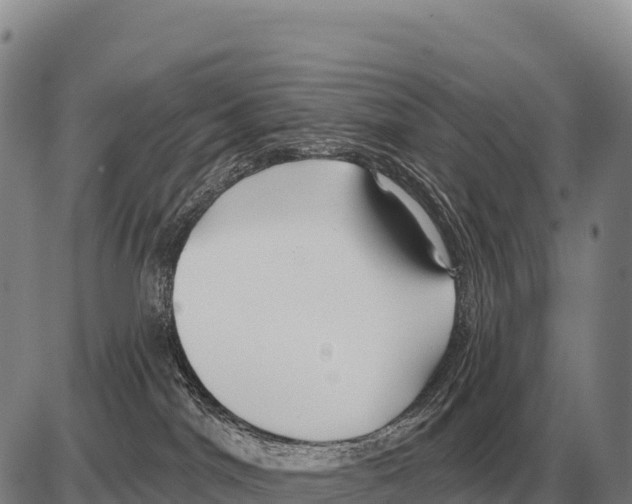 X0000086300044200704271838