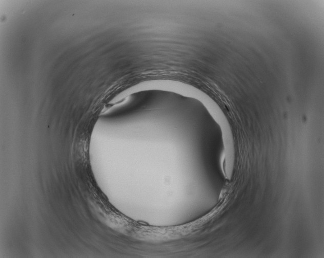 X0000086300045200704271838