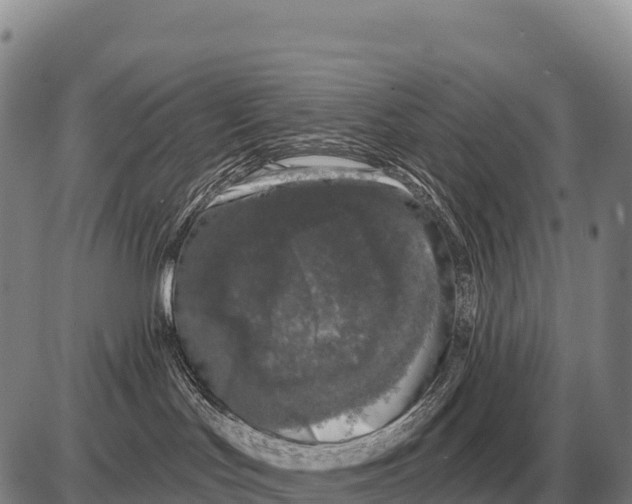 X0000086300047200704271838