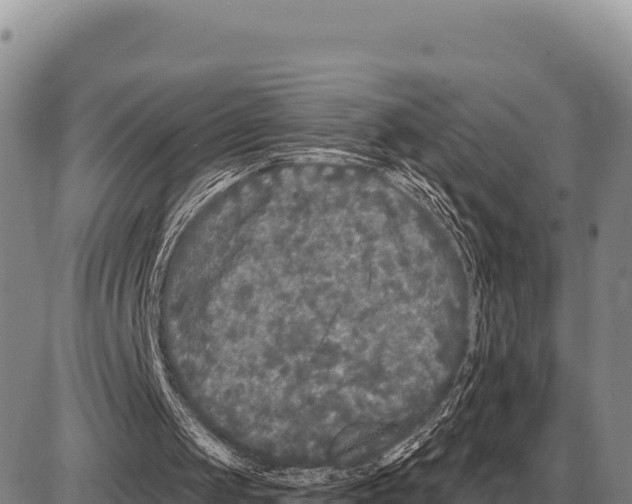 X0000086300049200704271837