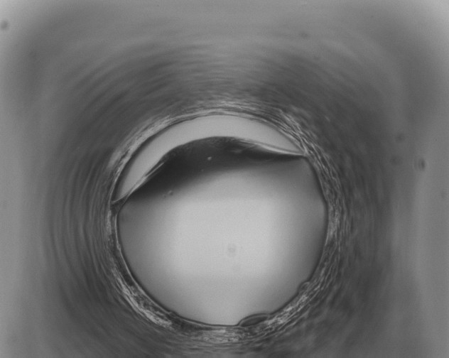 X0000086300050200704271837