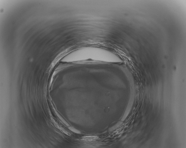 X0000086300051200704271837