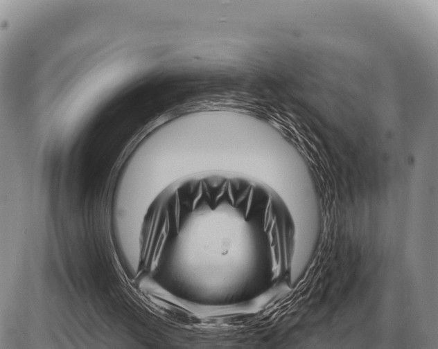 X0000086300052200704271837