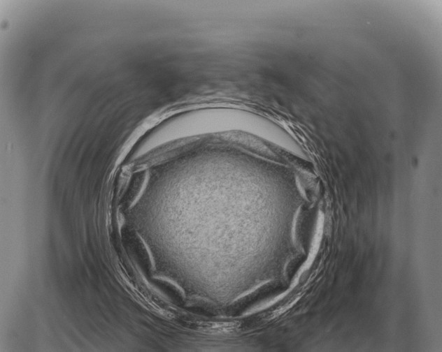 X0000086300056200704271837