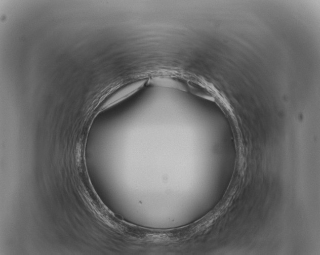 X0000086300057200704271837