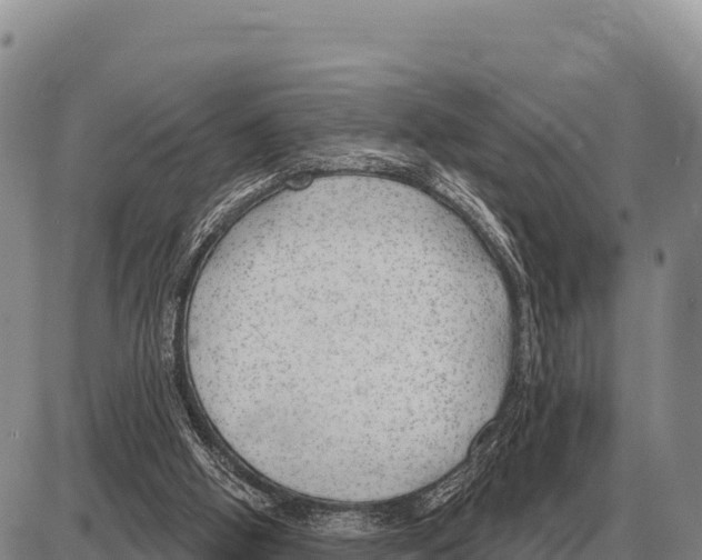 X0000086300058200704271837