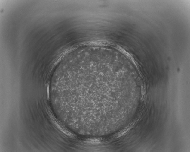 X0000086300061200704271837