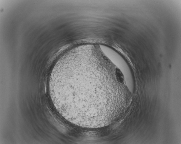 X0000086300062200704271837