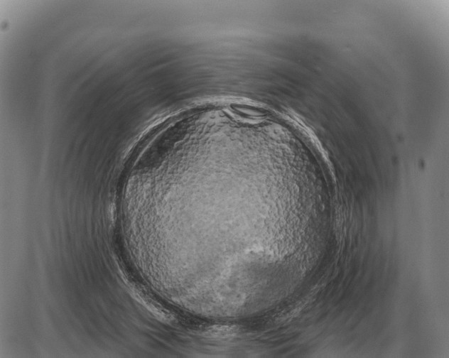 X0000086300063200704271837