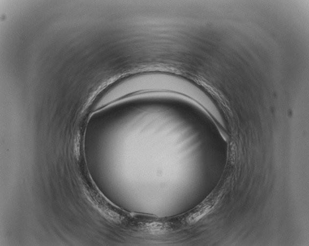 X0000086300064200704271837