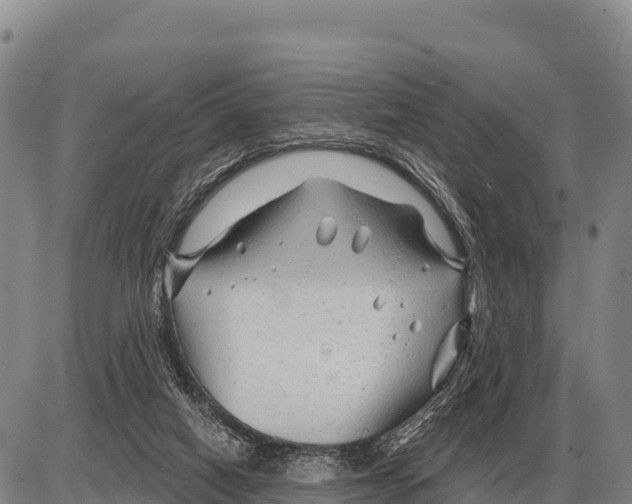 X0000086300066200704271837