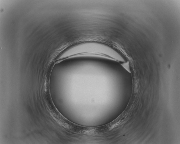 X0000086300068200704271837