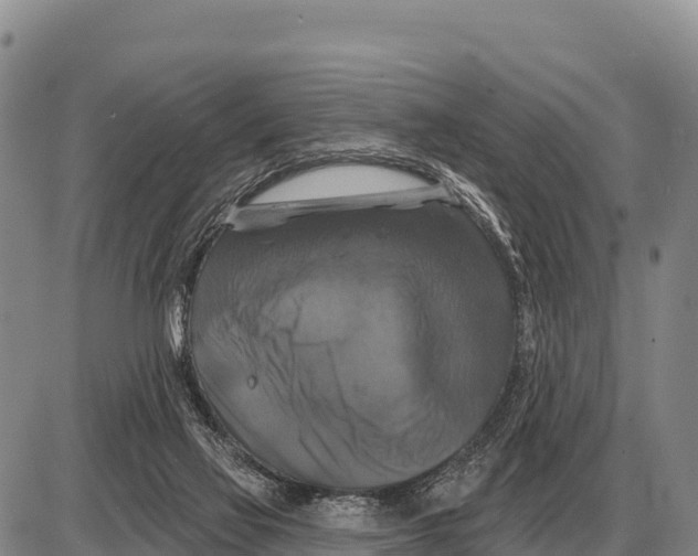 X0000086300069200704271837