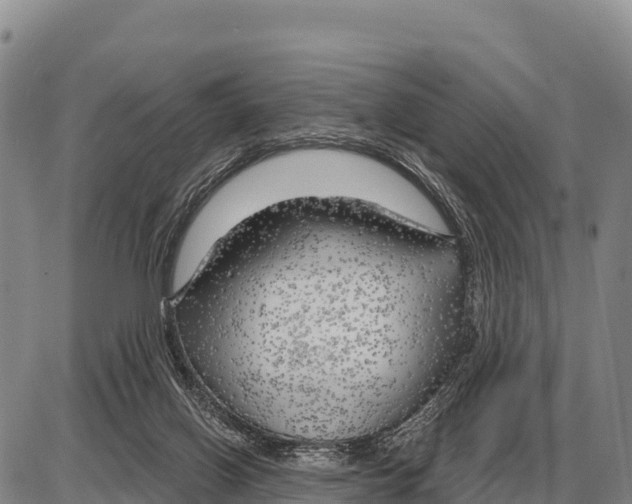 X0000086300070200704271837