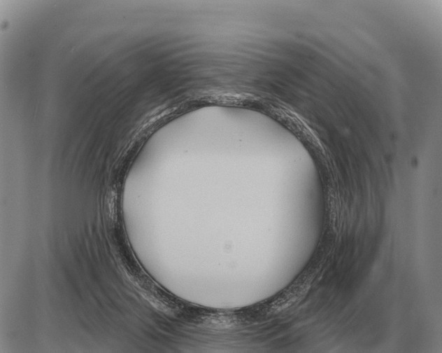 X0000086300071200704271837