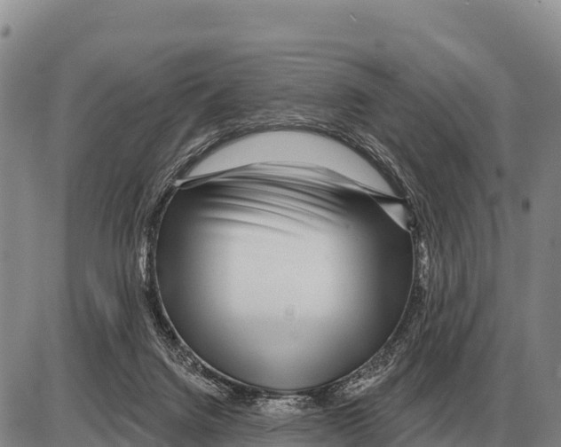 X0000086300072200704271837