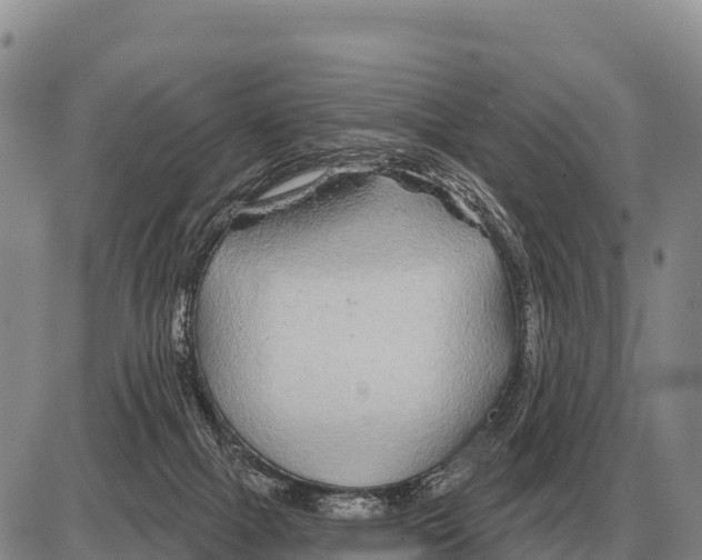 X0000086300073200704271837