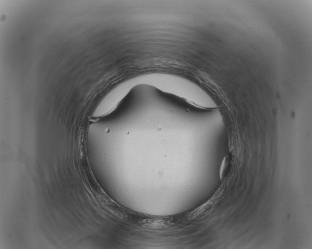 X0000086300074200704271837