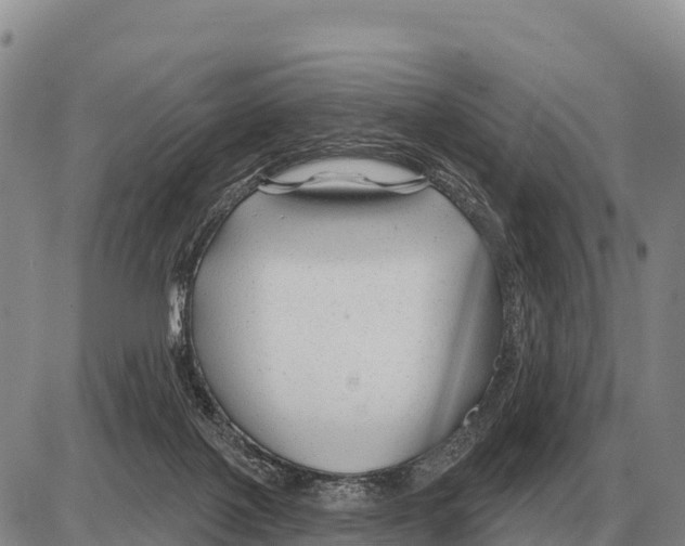 X0000086300075200704271837