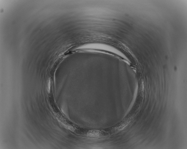 X0000086300076200704271837