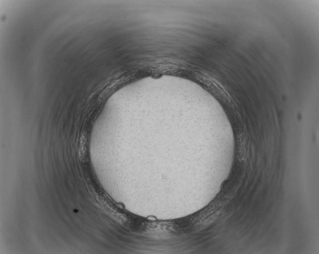 X0000086300077200704271837