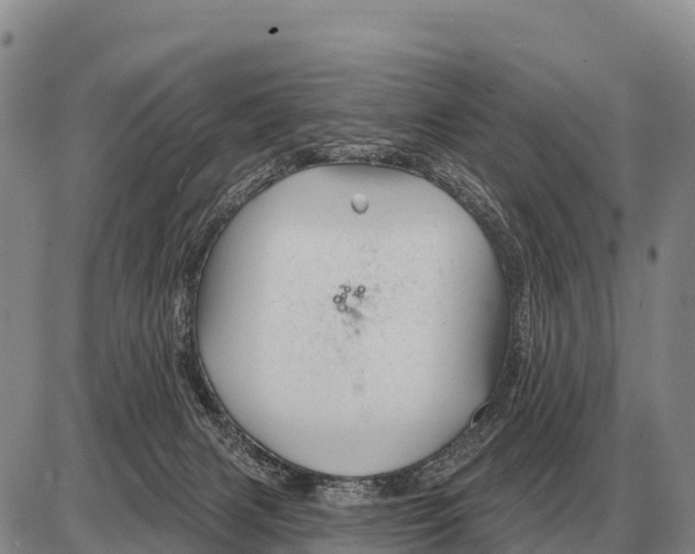 X0000086300079200704271837