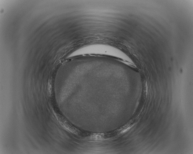 X0000086300080200704271837