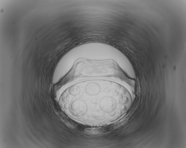 X0000086300082200704271837