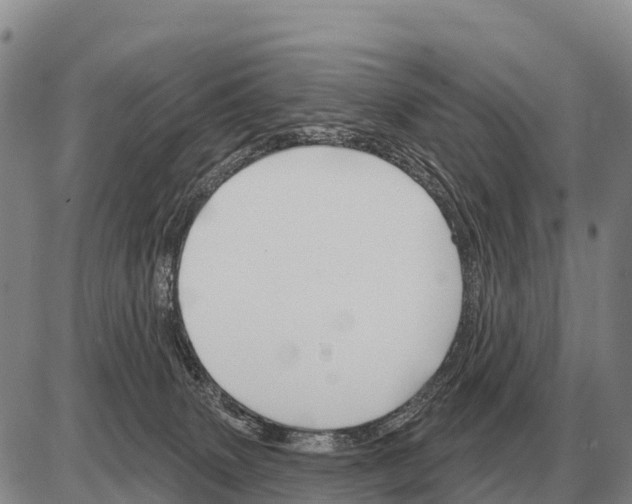 X0000086300083200704271837