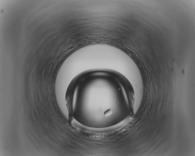 X0000086300084200704271837