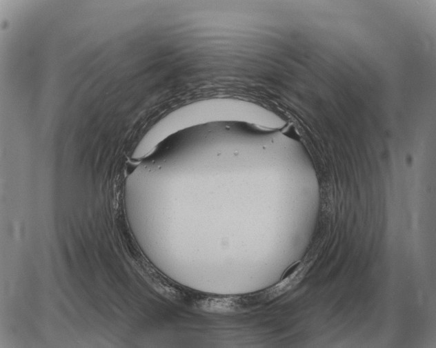 X0000086300086200704271837