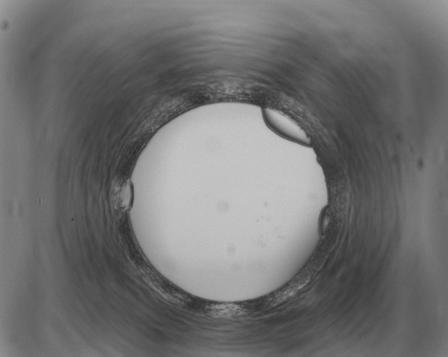 X0000086300087200704271837