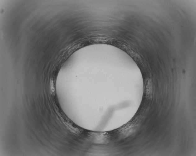 X0000086300089200704271838