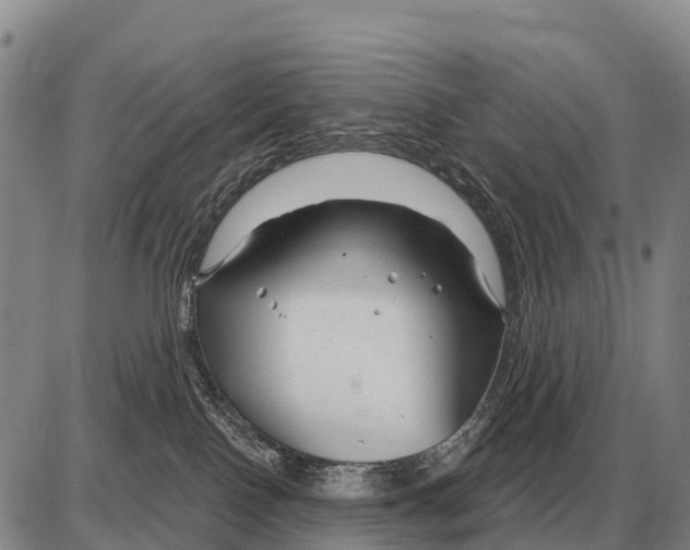 X0000086300090200704271838