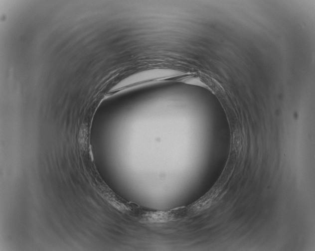 X0000086300092200704271838