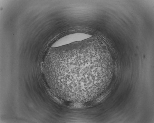 X0000086300093200704271838
