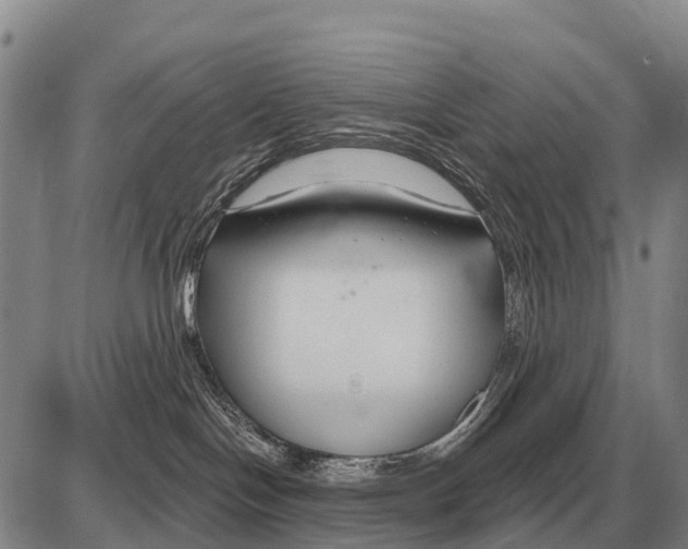 X0000086300094200704271838