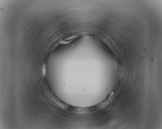 X0000086300095200704271838