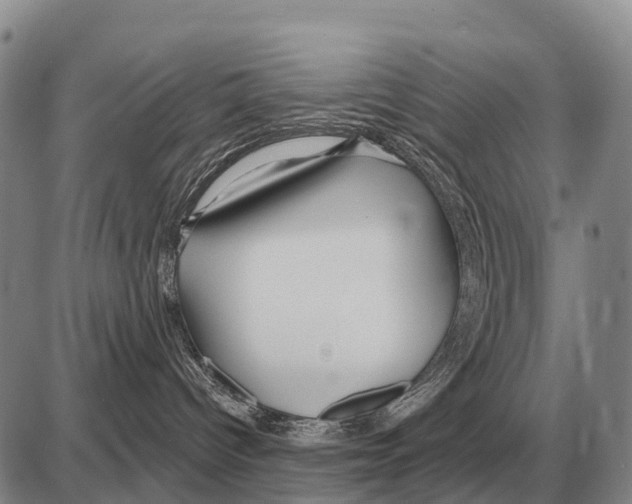 X0000086300096200704271838