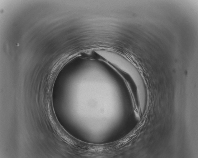 X0000086300097200704271837