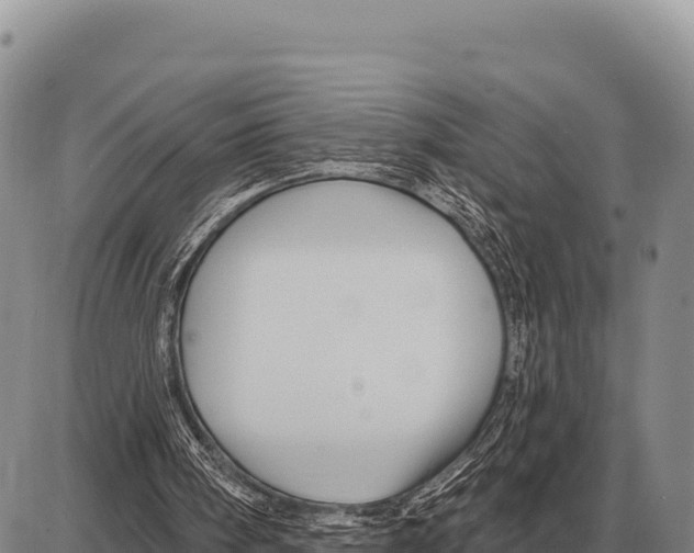 X0000086300098200704271837