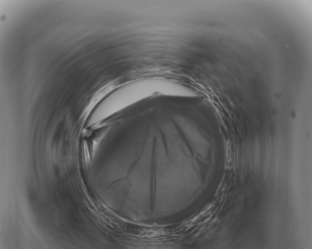 X0000086300099200704271837