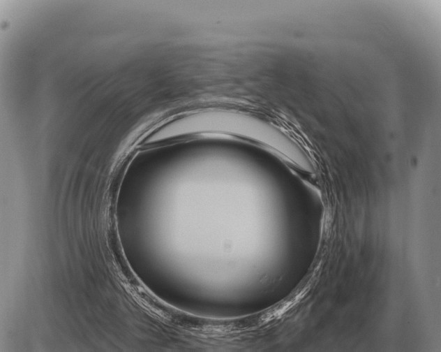 X0000086300101200704271837