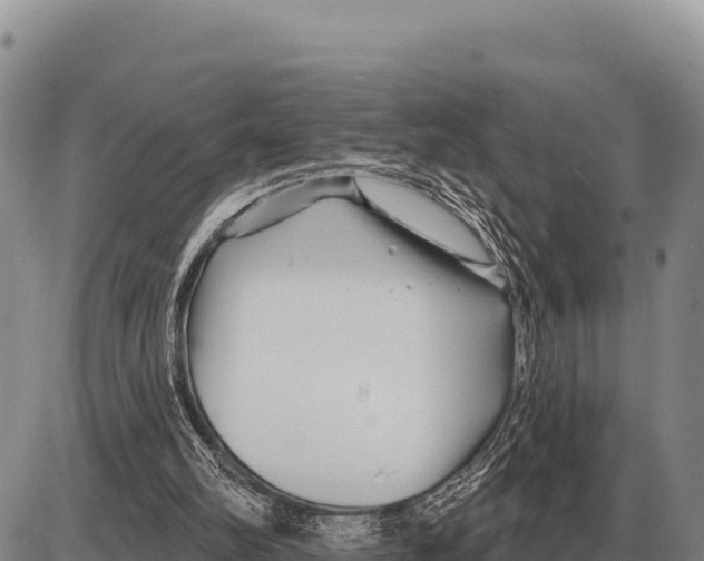 X0000086300102200704271837