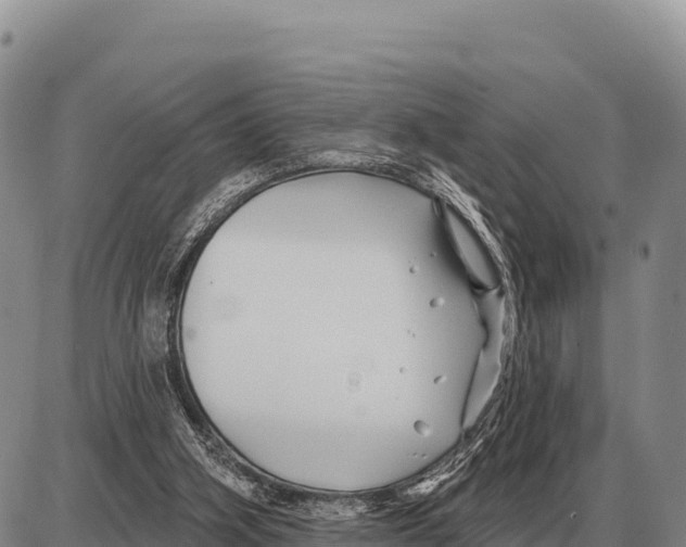 X0000086300106200704271837