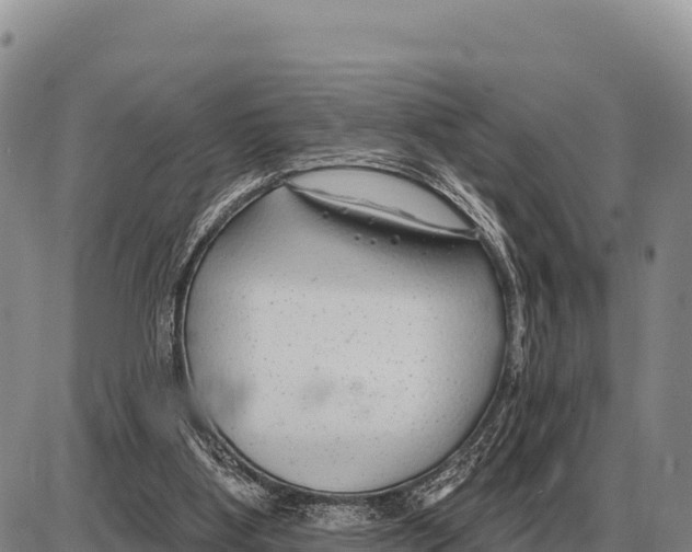 X0000086300107200704271837